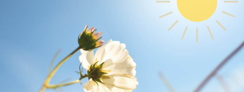 gezonde energieboost tips