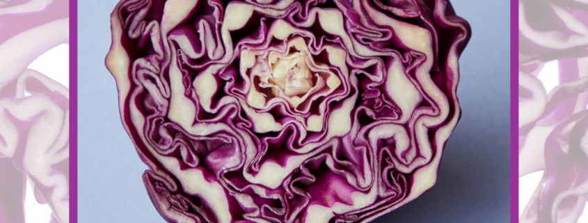 bio met een klein budget rozijn en rode kool salade