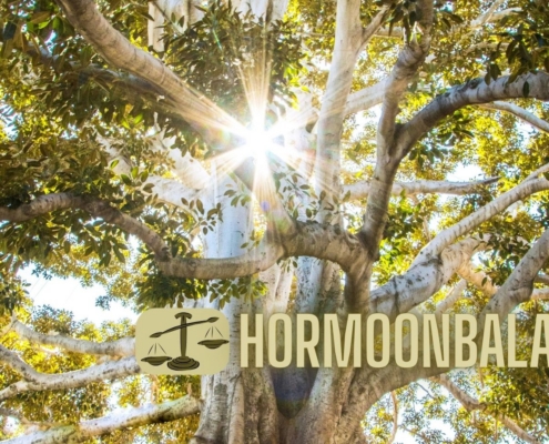 voeding en de hormoonbalans